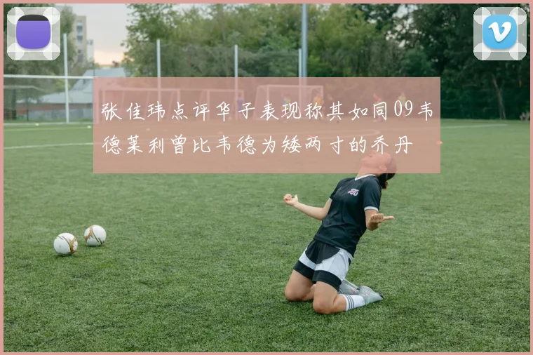 张佳玮点评华子表现称其如同09韦德莱利曾比韦德为矮两寸的乔丹
